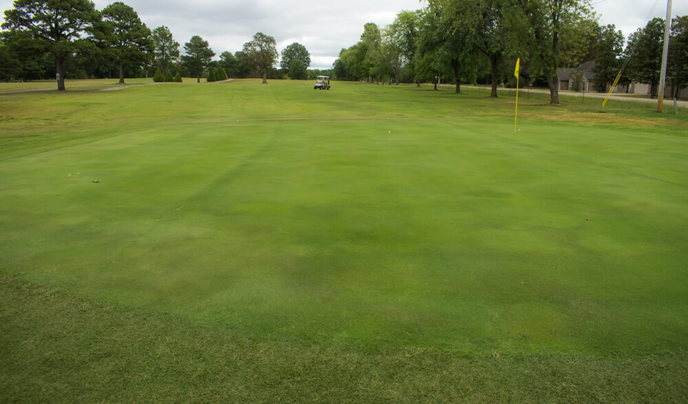 twin lakes number 16 green