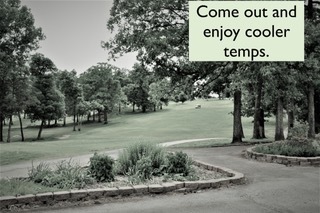 Golf cart in the middle of fairway with trees on both sides and smaller plants in foreground.