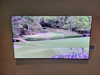 TV on wall with golf course scene on the screen.