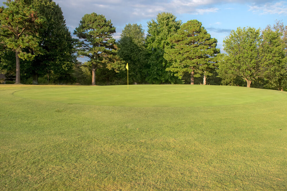 twin lakes number 12 green