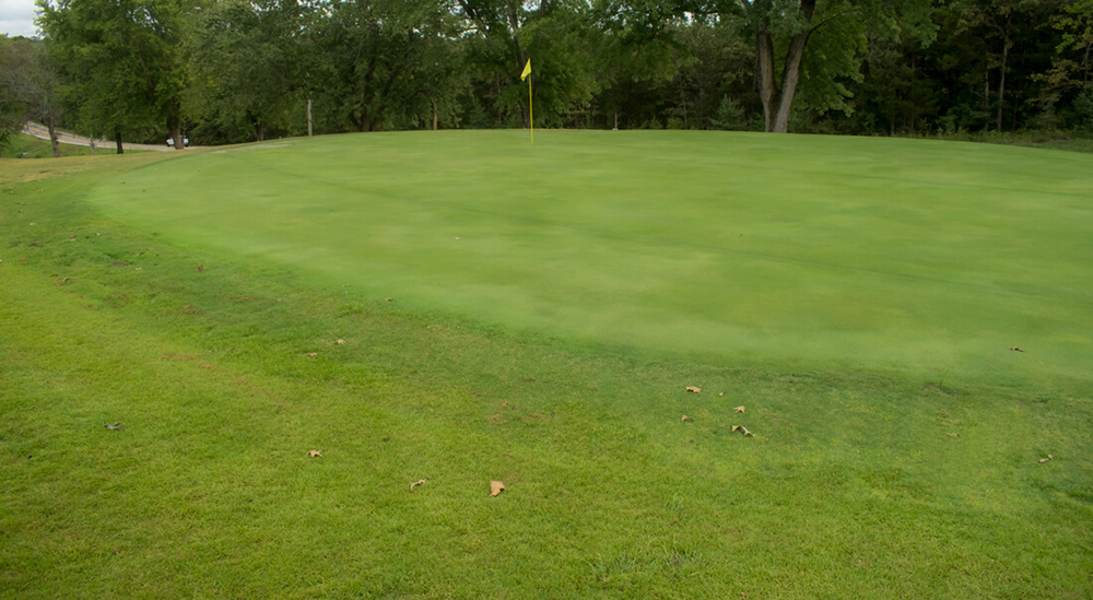 twin lakes number 15 green