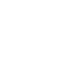 Thunderstorms and Fog/Mist